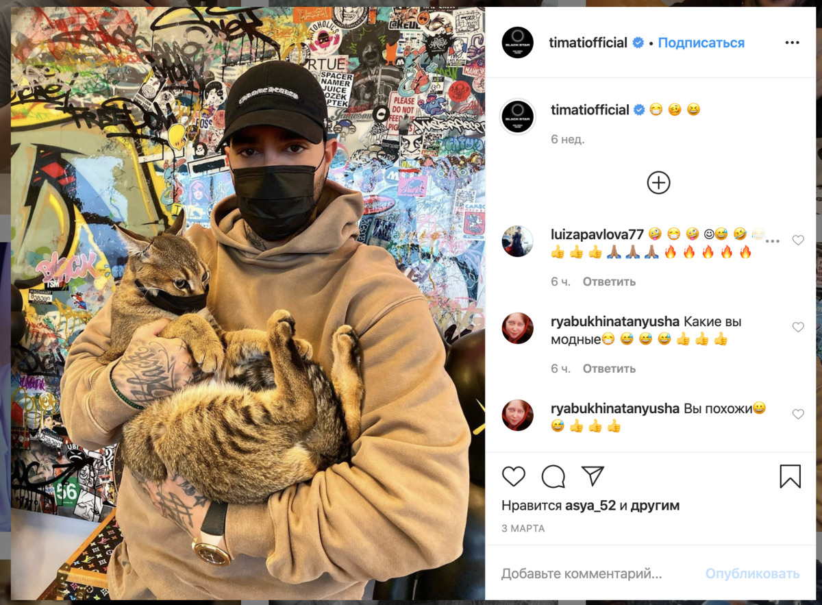 Кот как у Тимати