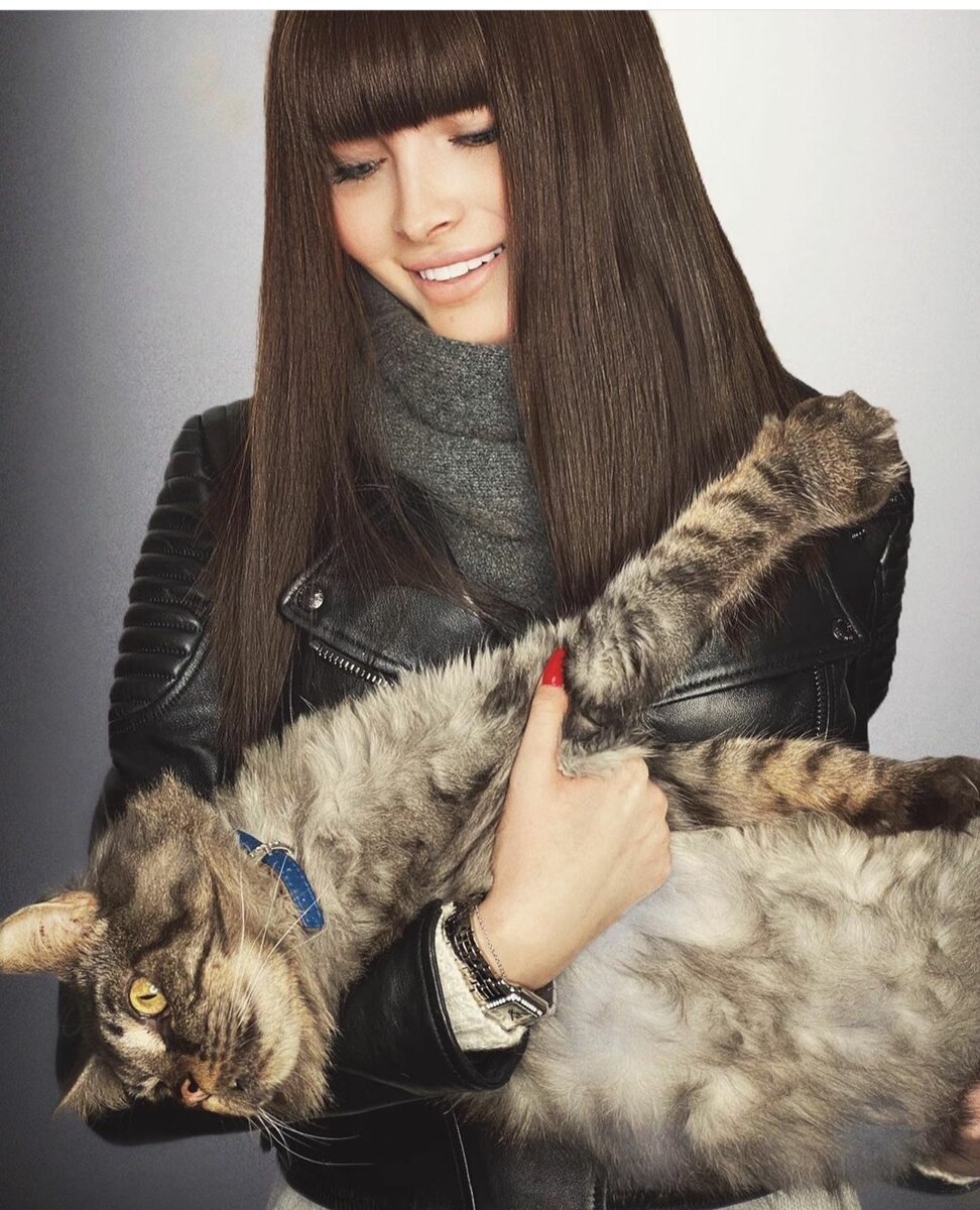 Кот в законе