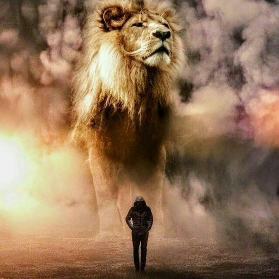 Мужчина Лев