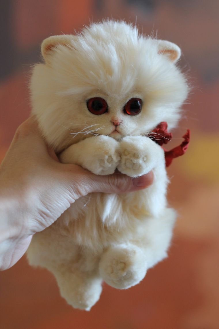 Миленькие котята