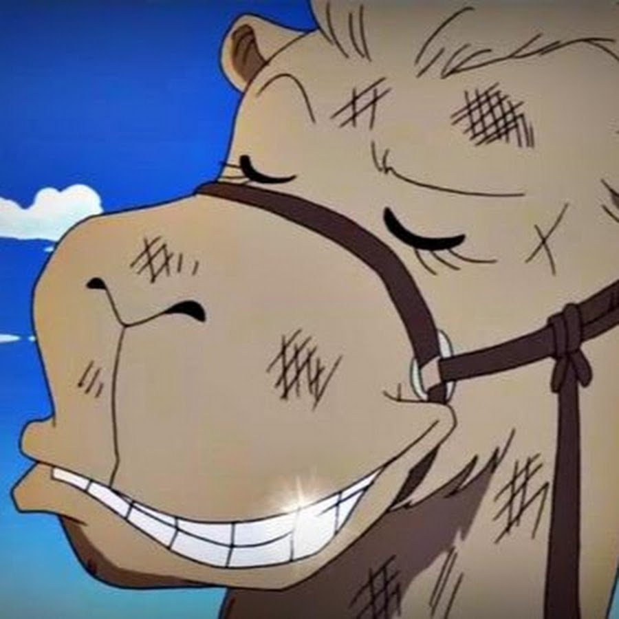 Верблюд смеется