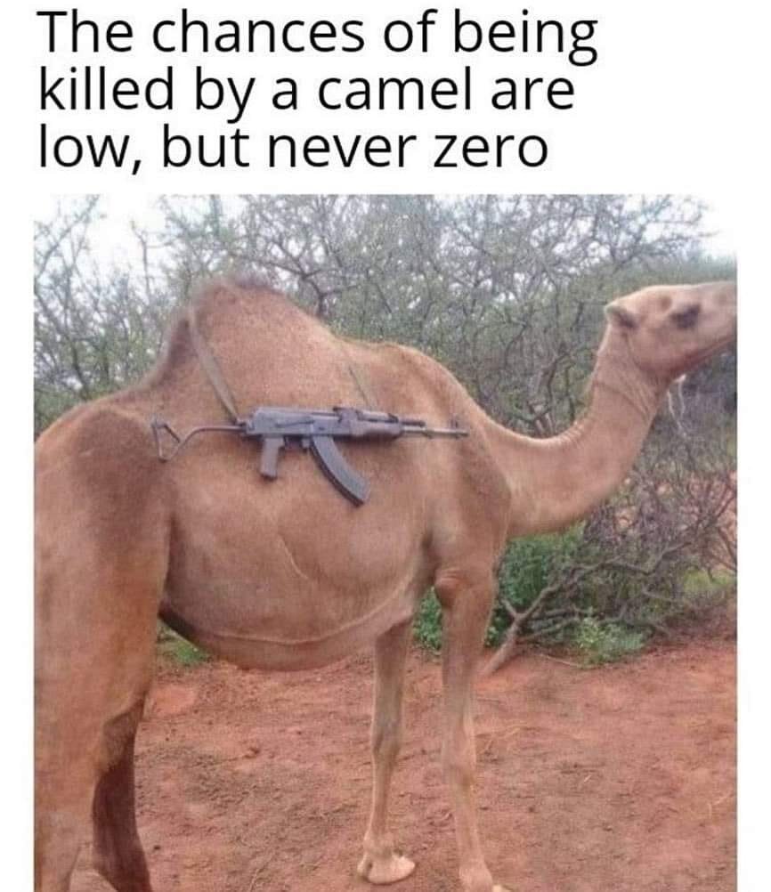 Двугорбый верблюд густая шерсть