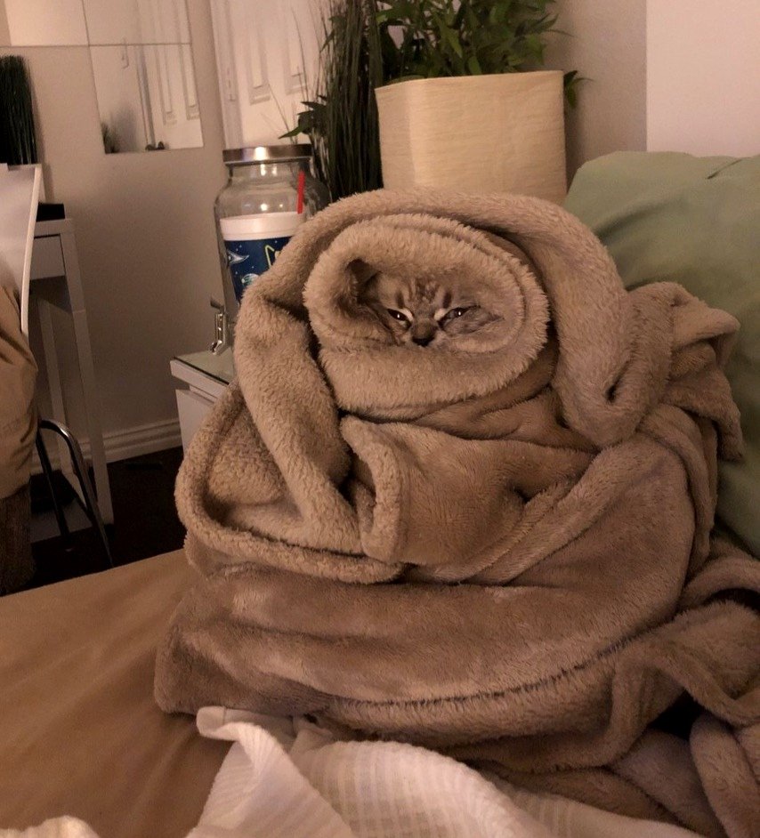 Укутаться в плед