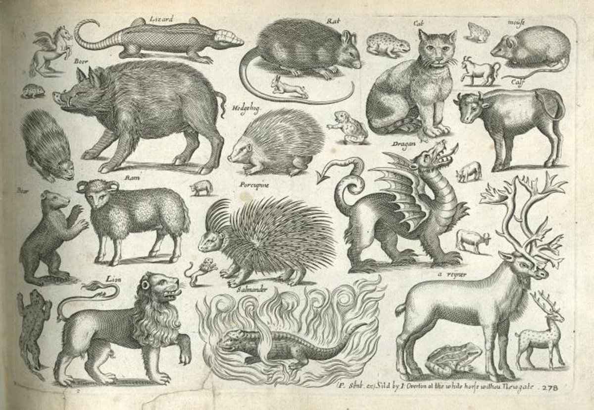 Старинные Гравюры с животными