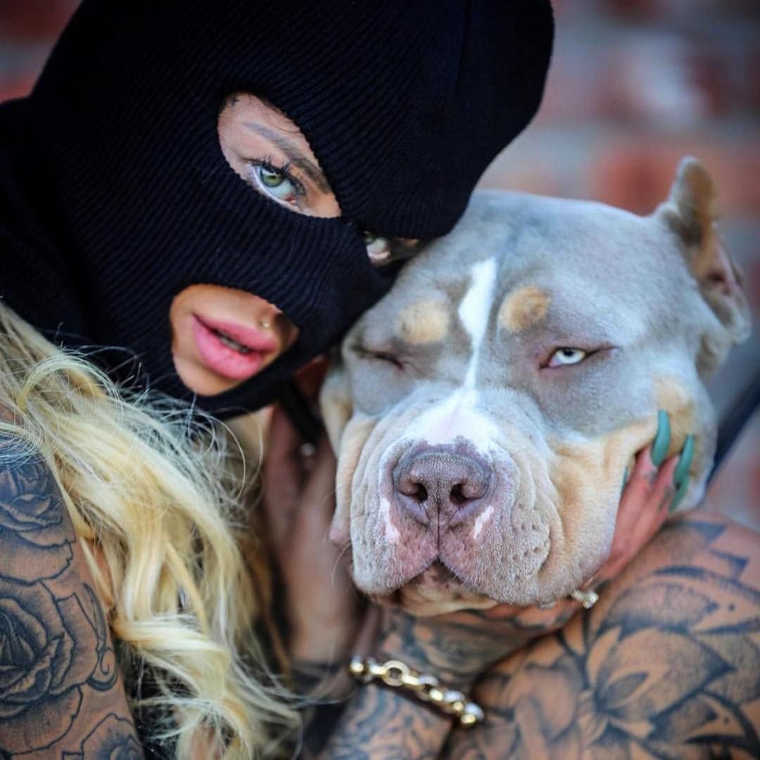 Девушка с питбулем