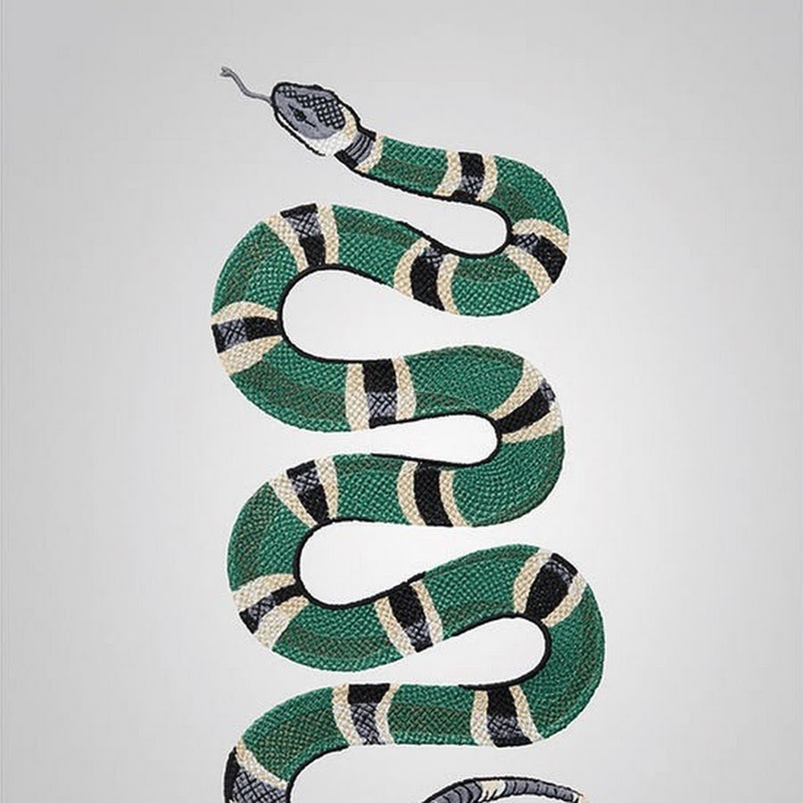 Питон Королевский Региус белые