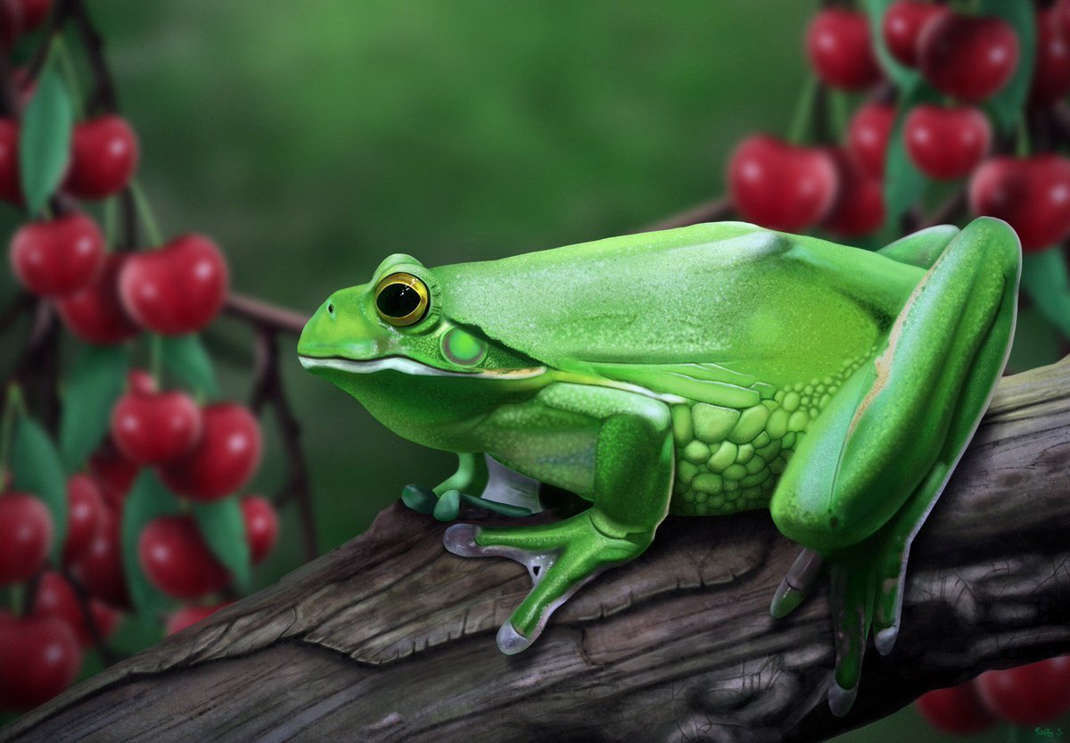 Грин Фрог