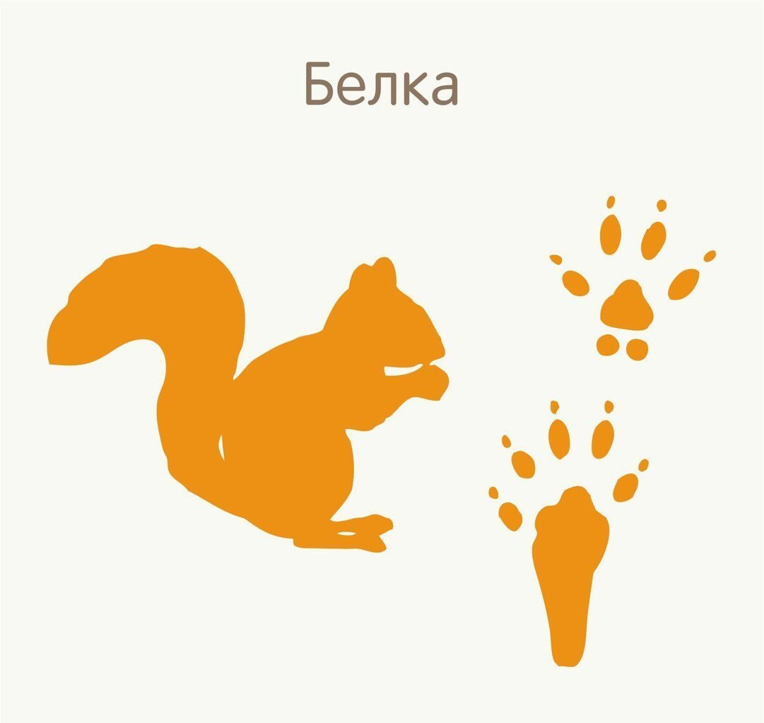 Заяц Беляк с зайчатами