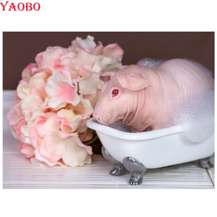 Морская свинья в ванне