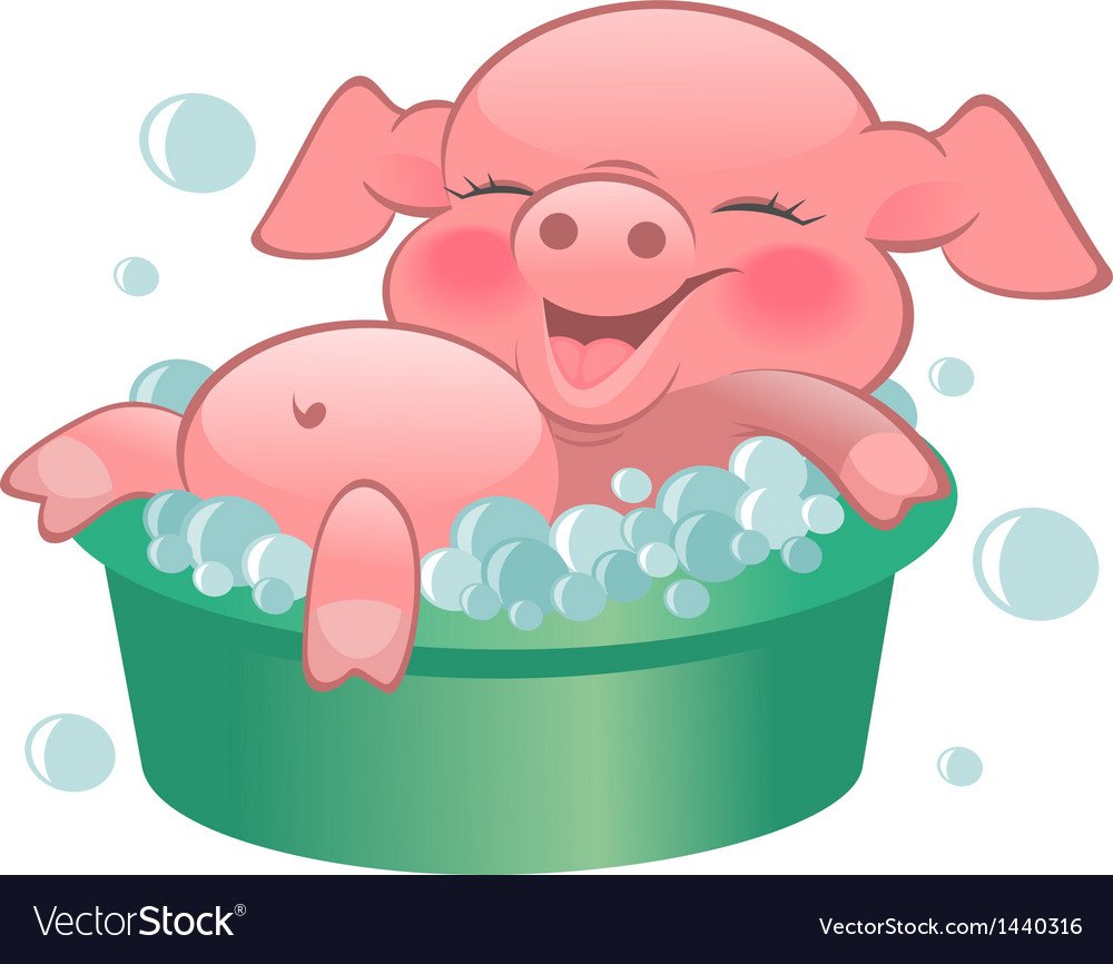 Поросенок моется