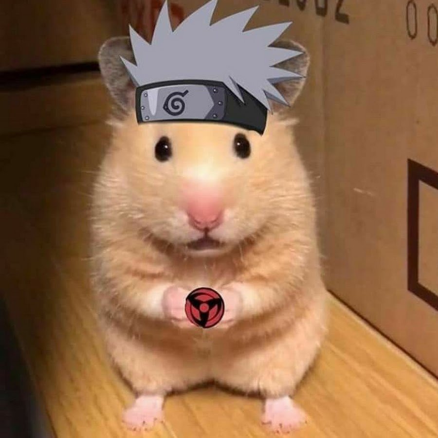 Хомяк на аву