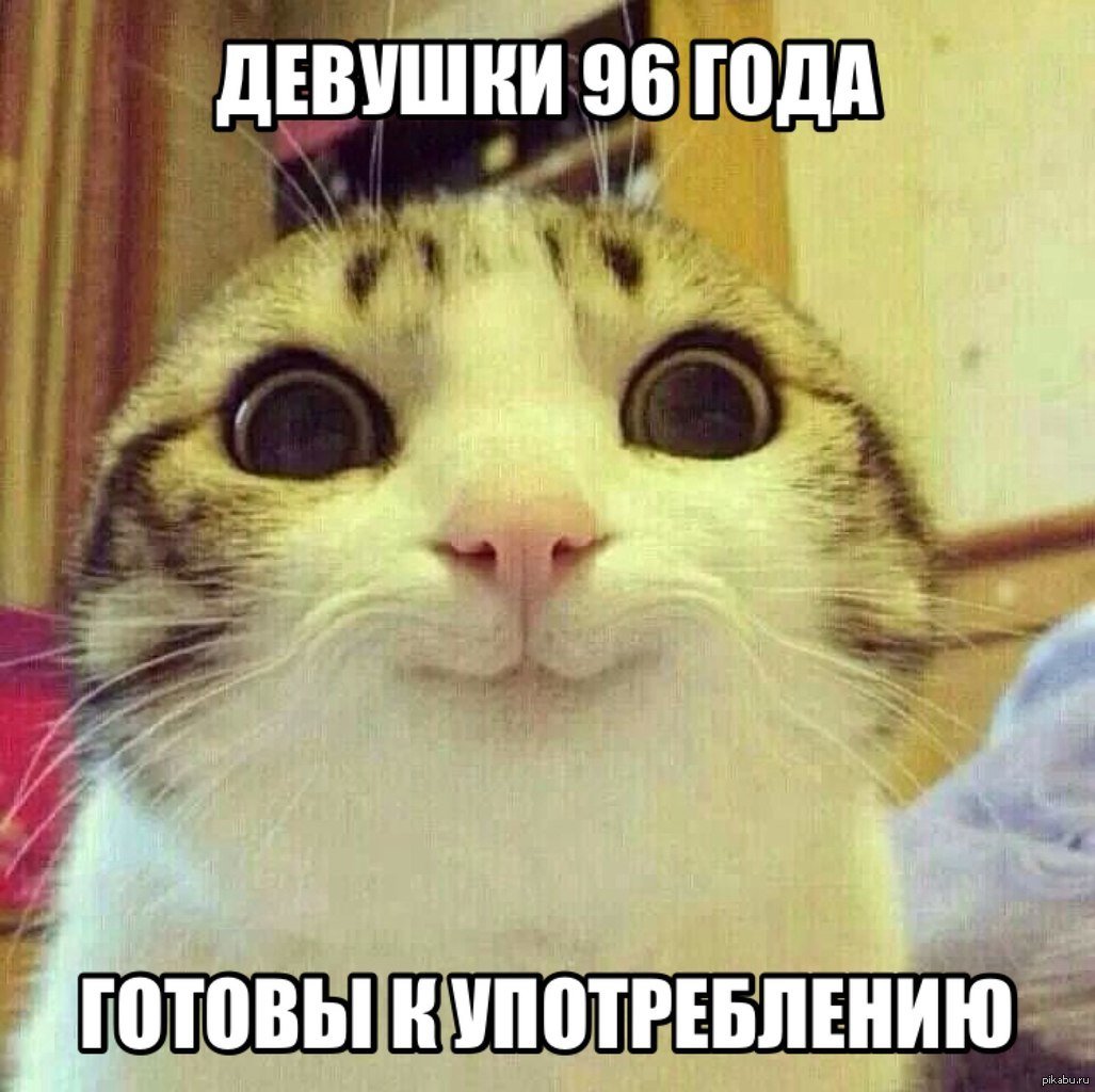 Кот с загрузкой на голове Мем