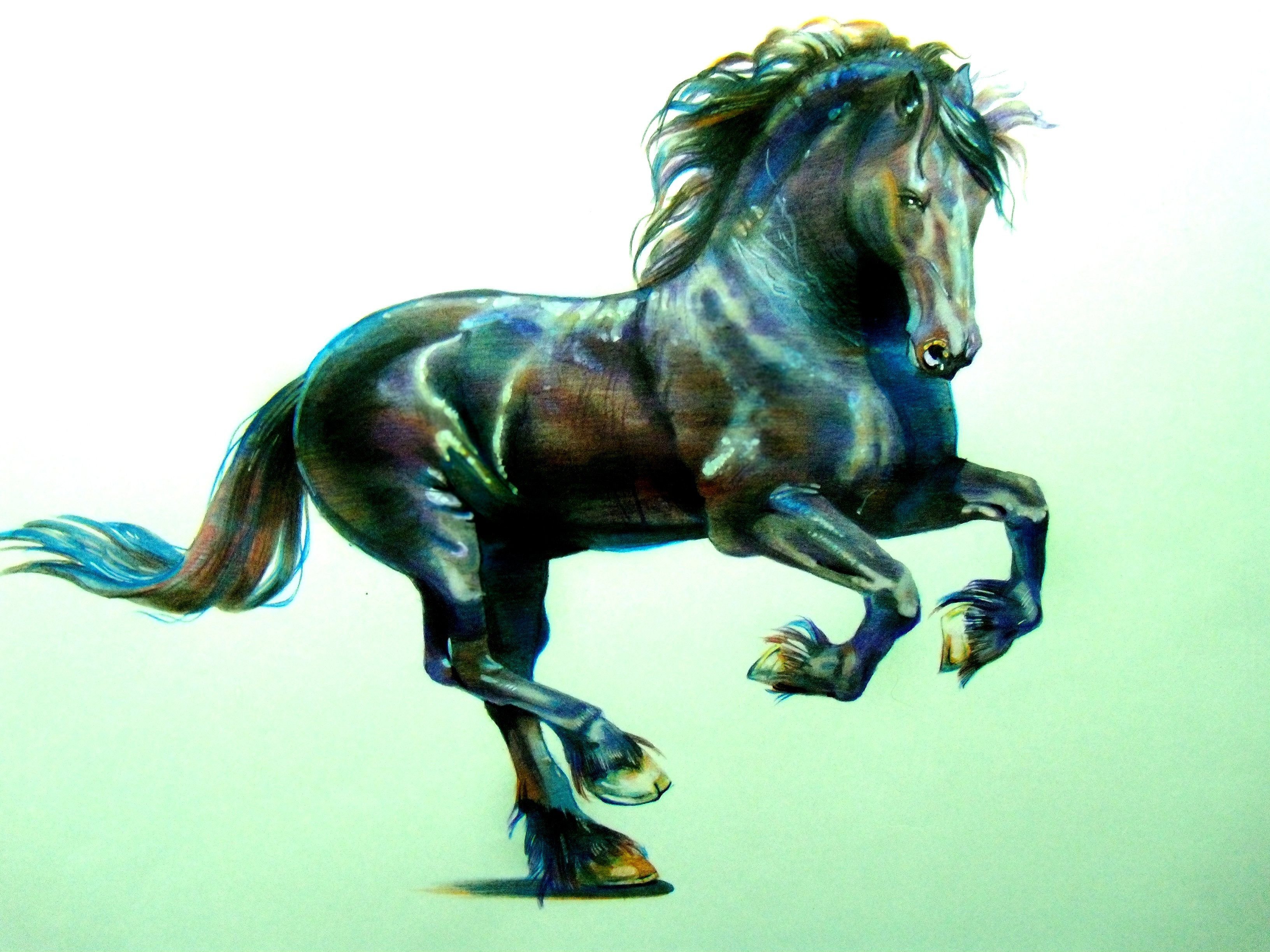 Год лошади камни. Лошади. Конь иллюстрация. Картинки лошадей. Фризская лошадь.
