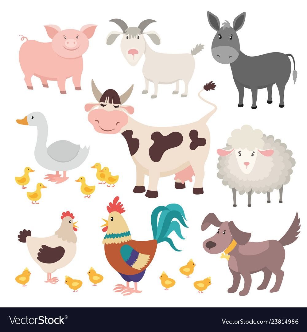 Домашний скот рисунки для детей