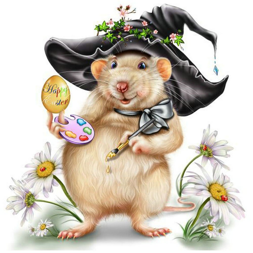 Крысы Эстетика