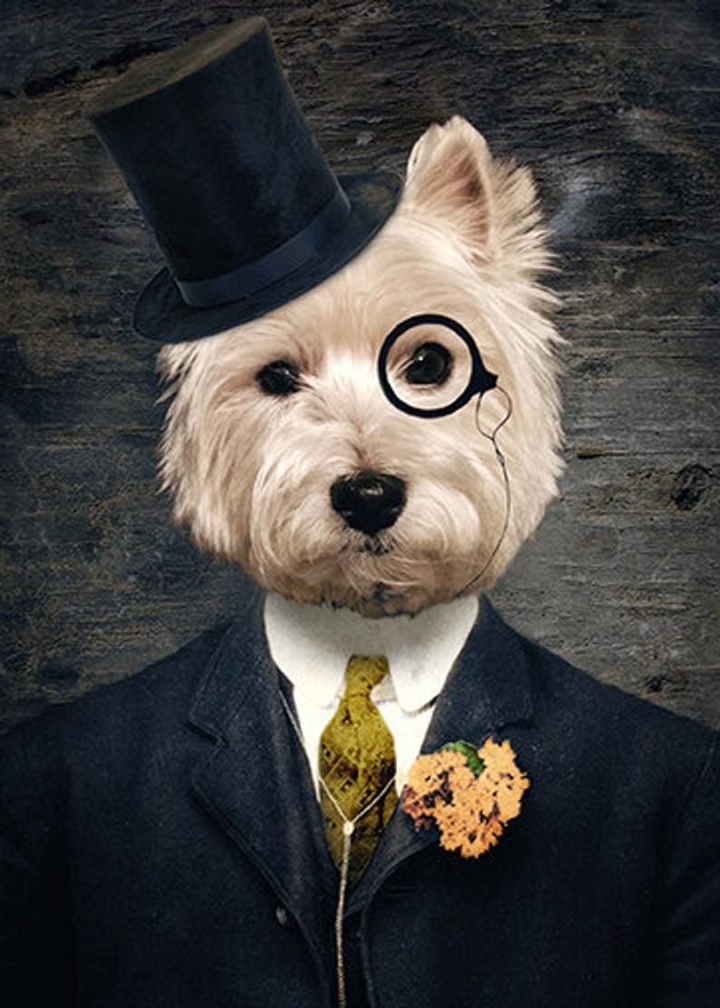 3d бультерьер