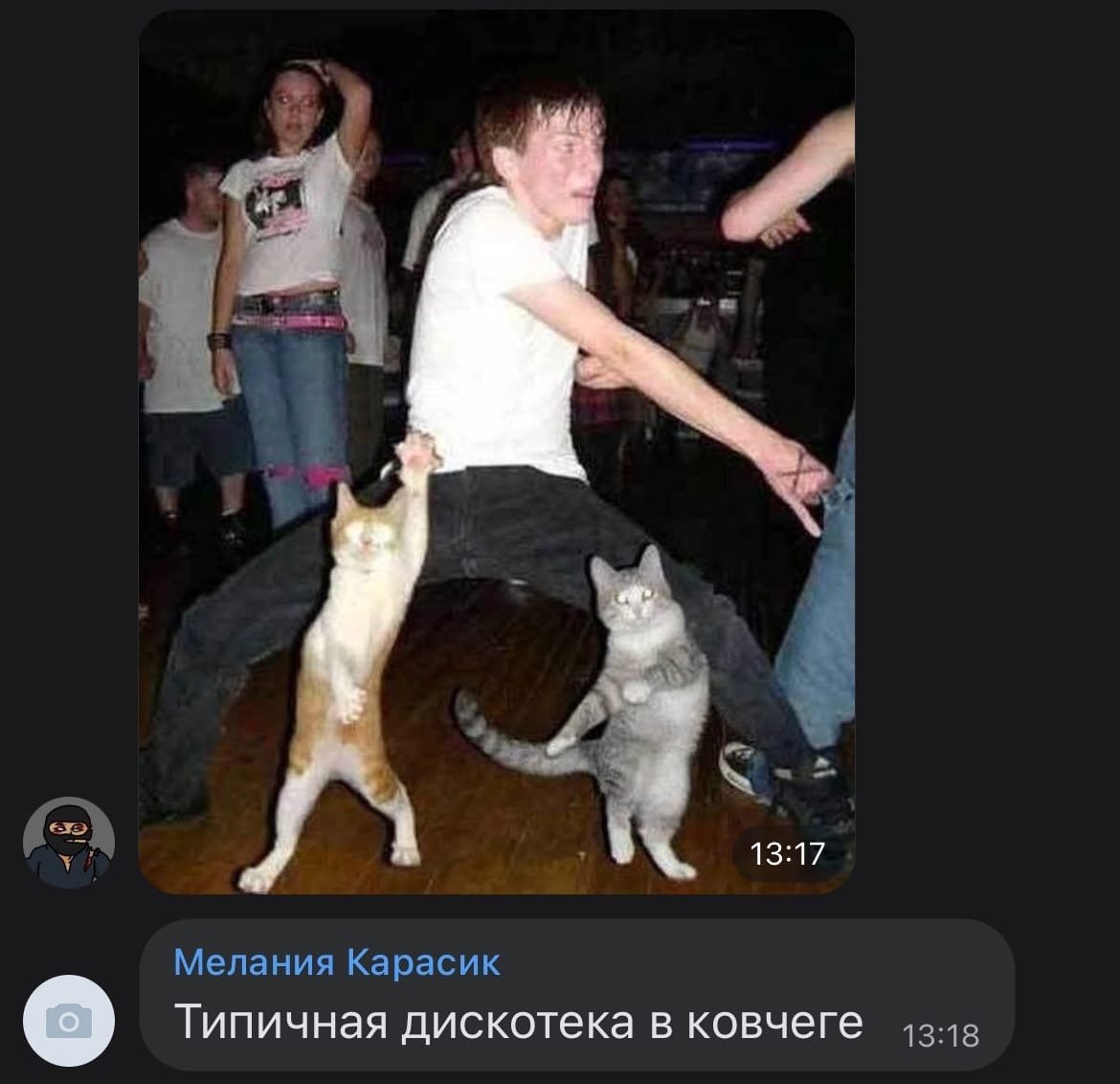 Девушка с головой кошки