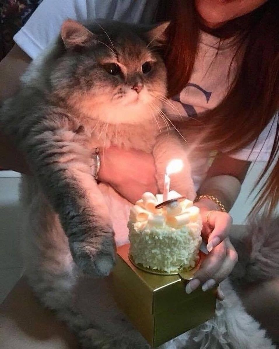 Какой ты сегодня Мем