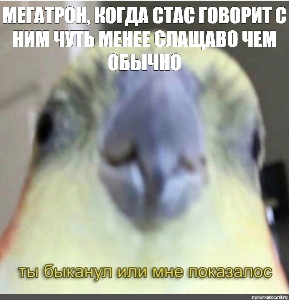 Ты БЫКАНУЛ или мне показалось