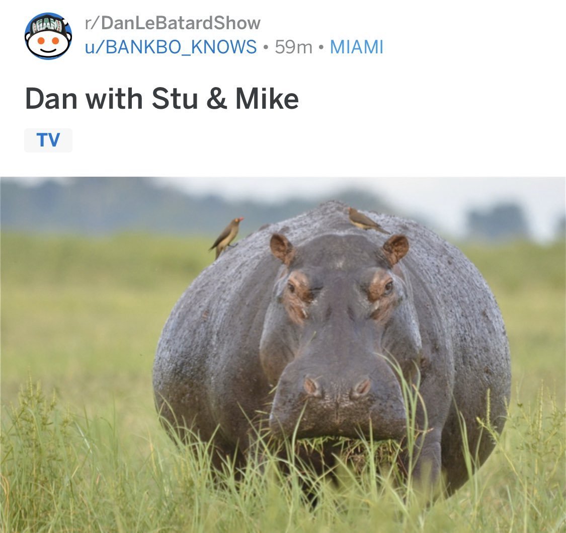 Худой Бегемот