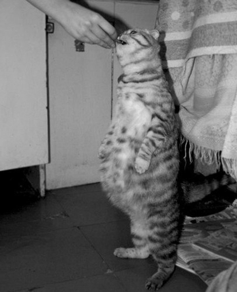 Беременным отказывать нельзя