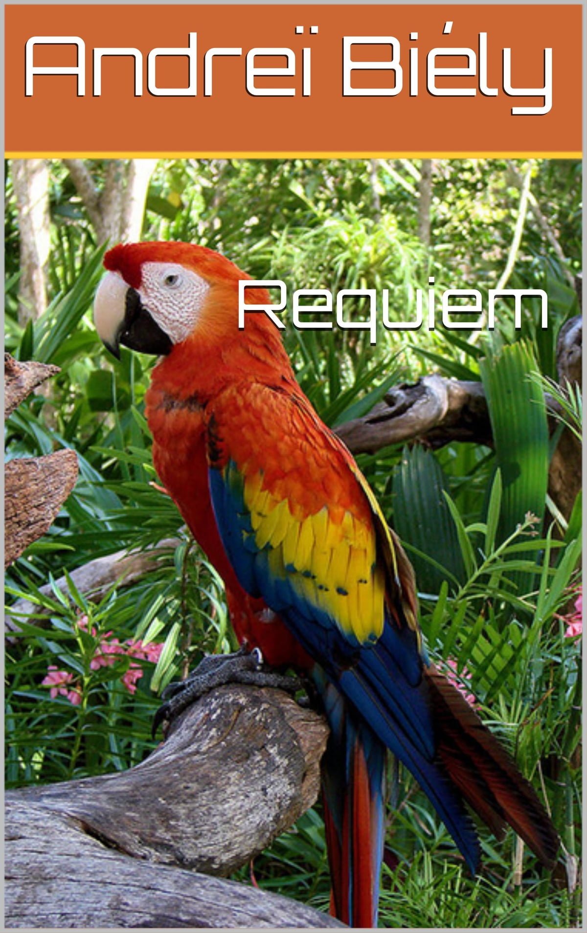 Какаду оранжевый. Попугай ара. Попугай ара красный. Красноголовый Какаду попугай. Мадагаскарский попугай.