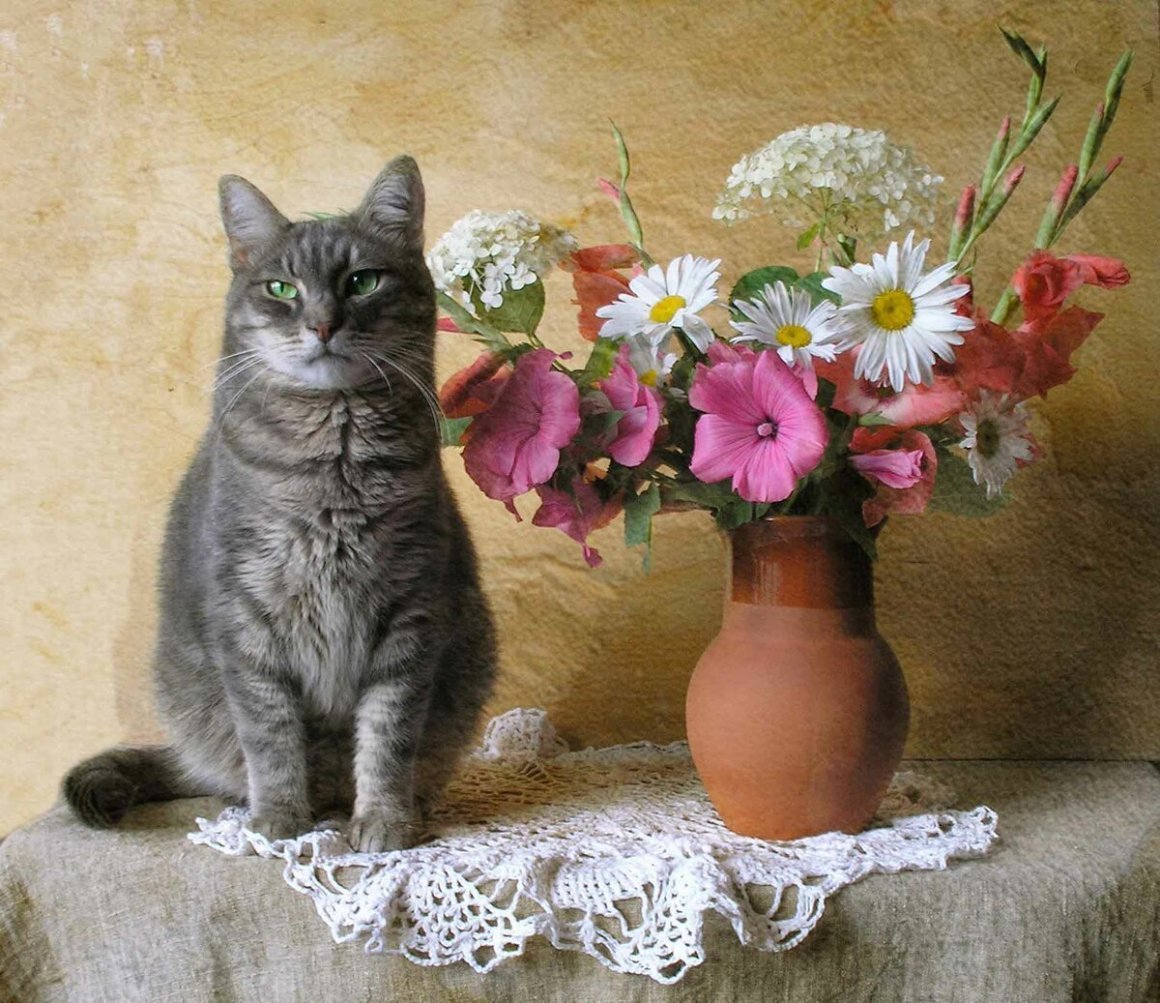 Котик с букетом цветов