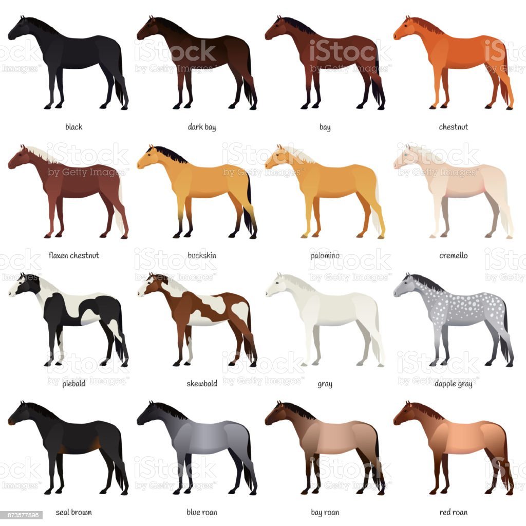 Масти лошадей таблица