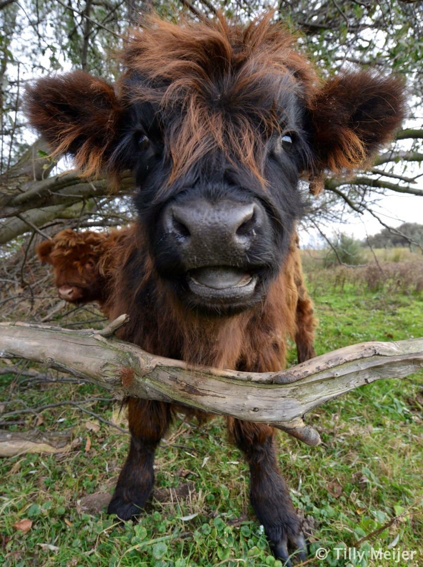 Папаня ну вот то-то а то мама-мама