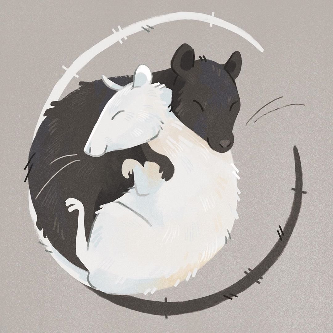 Инь Янь животные