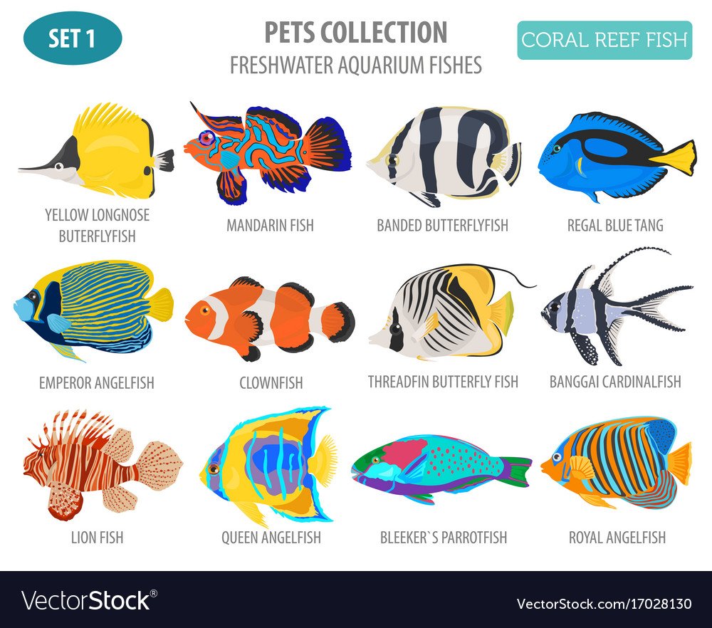 Аквариумные рыбки Пресноводные инфографика
