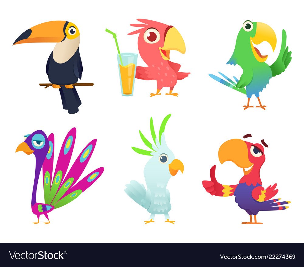 Попугай домашний вектор мультяшный