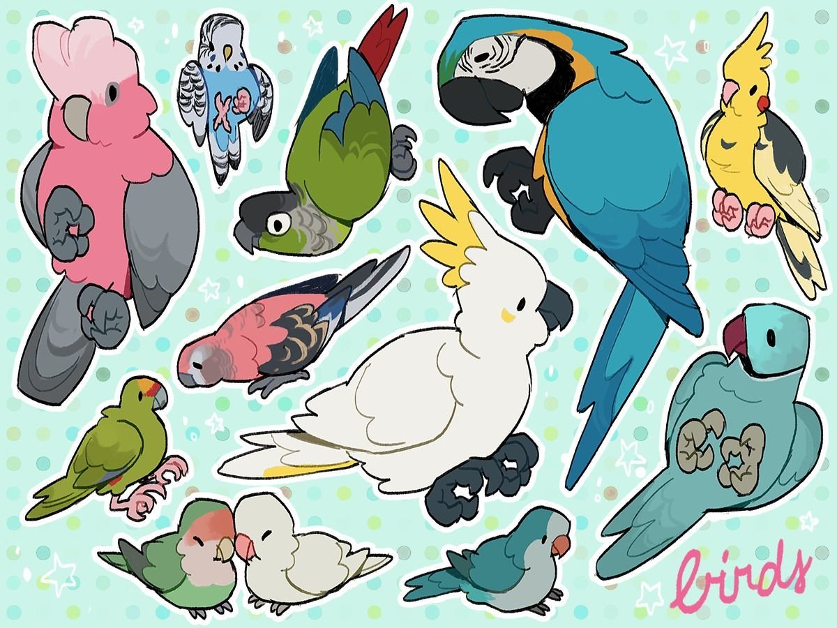 Стикеры попугай