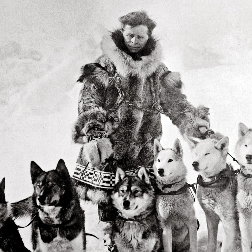 Хаски парк Сочи