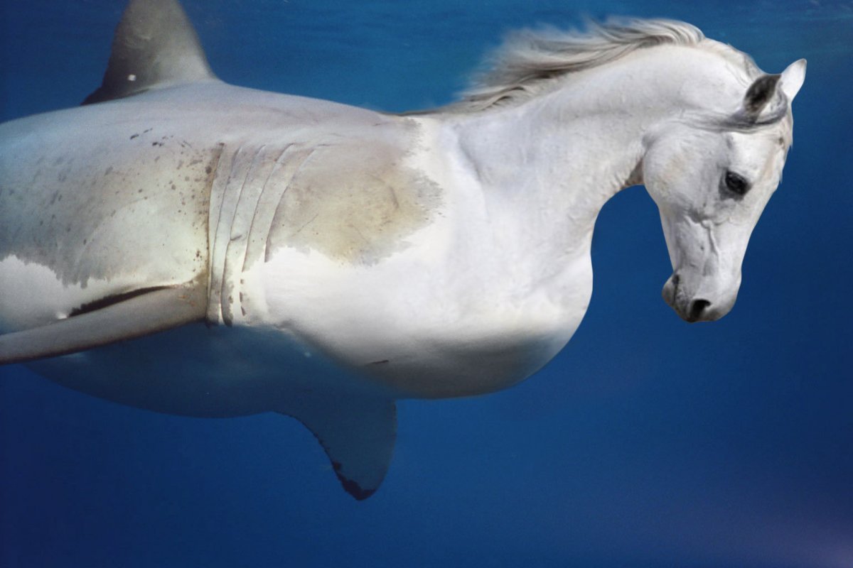 Хубрид Энималс