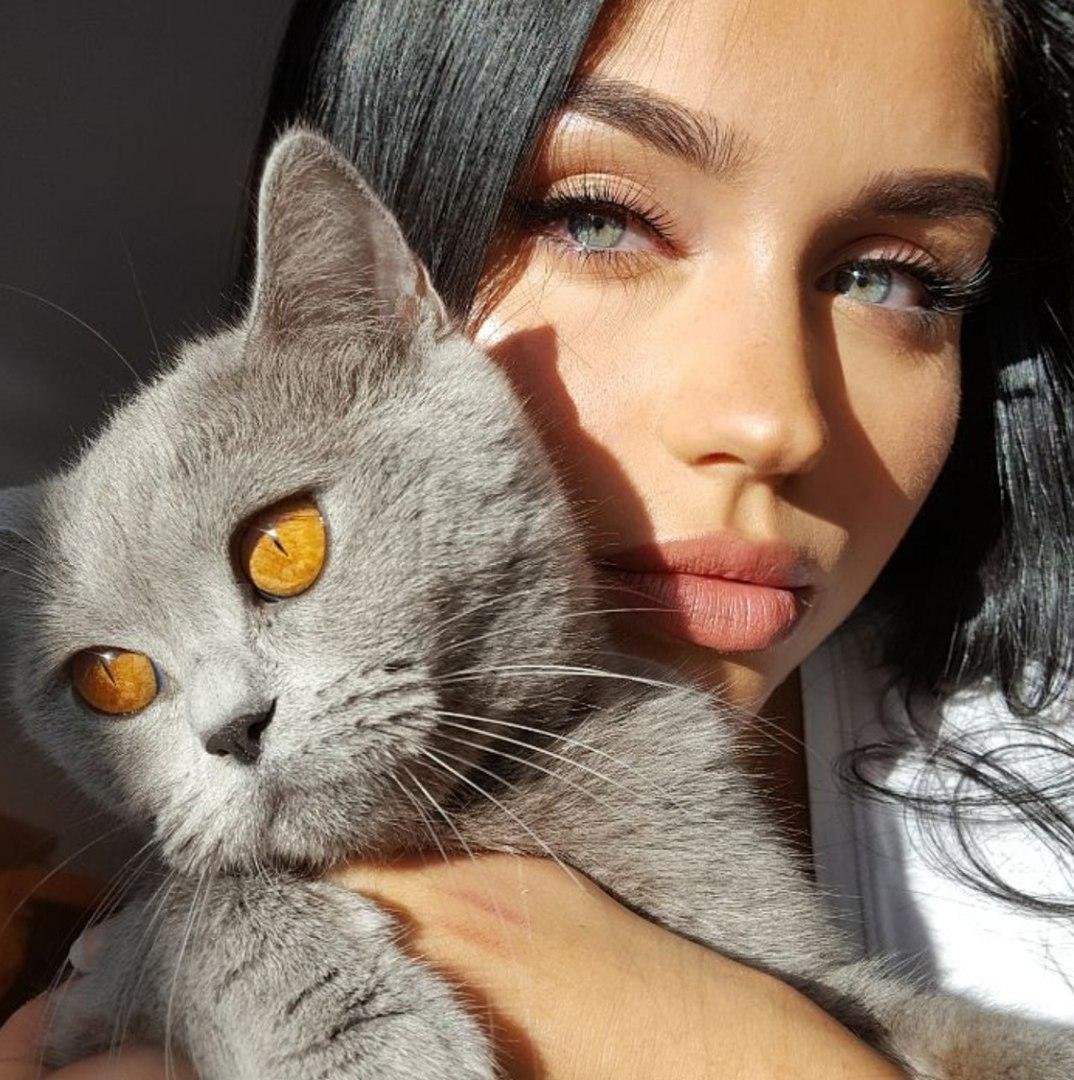 Самые милые котики