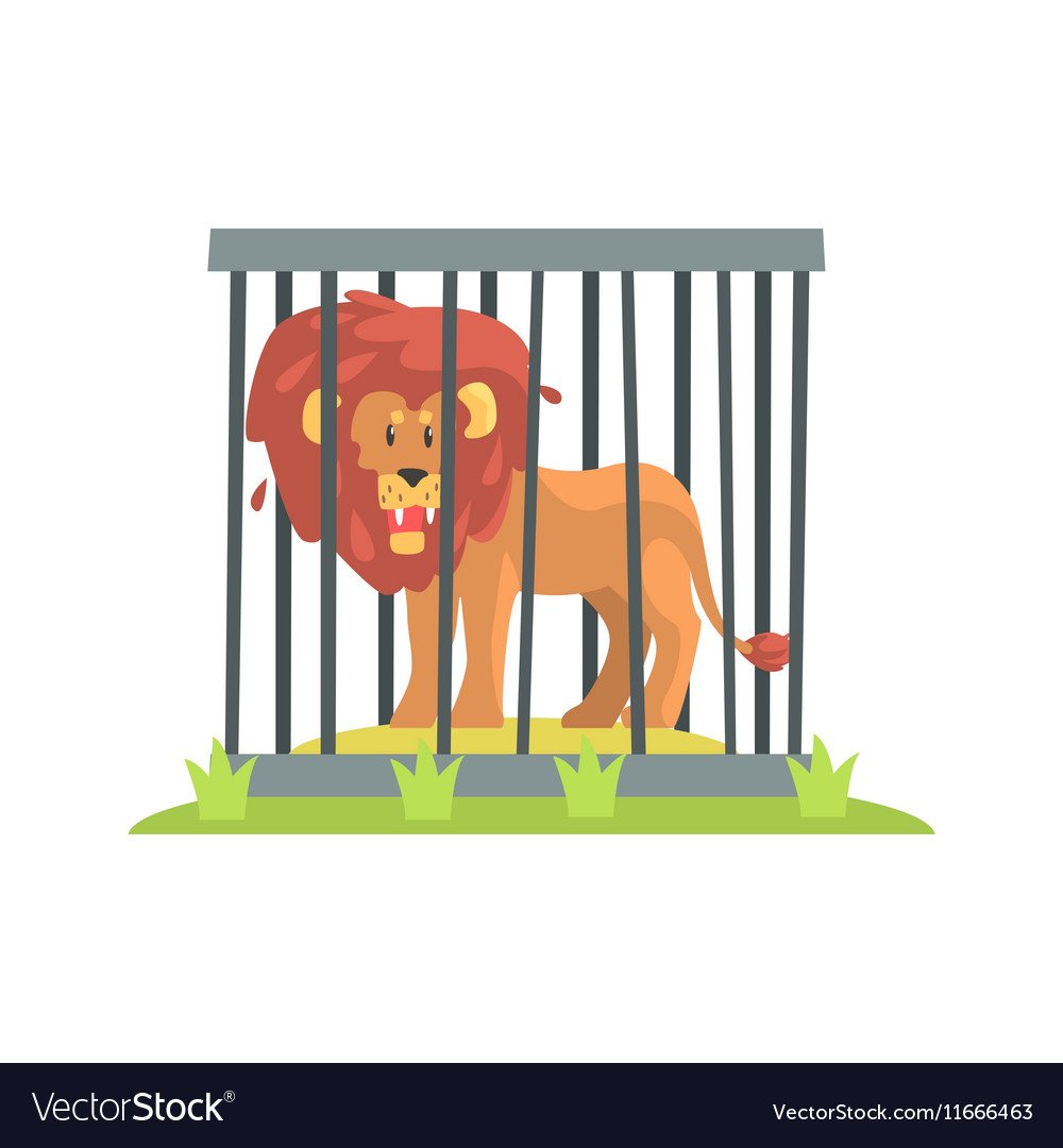 Лев в клетке в зоопарке