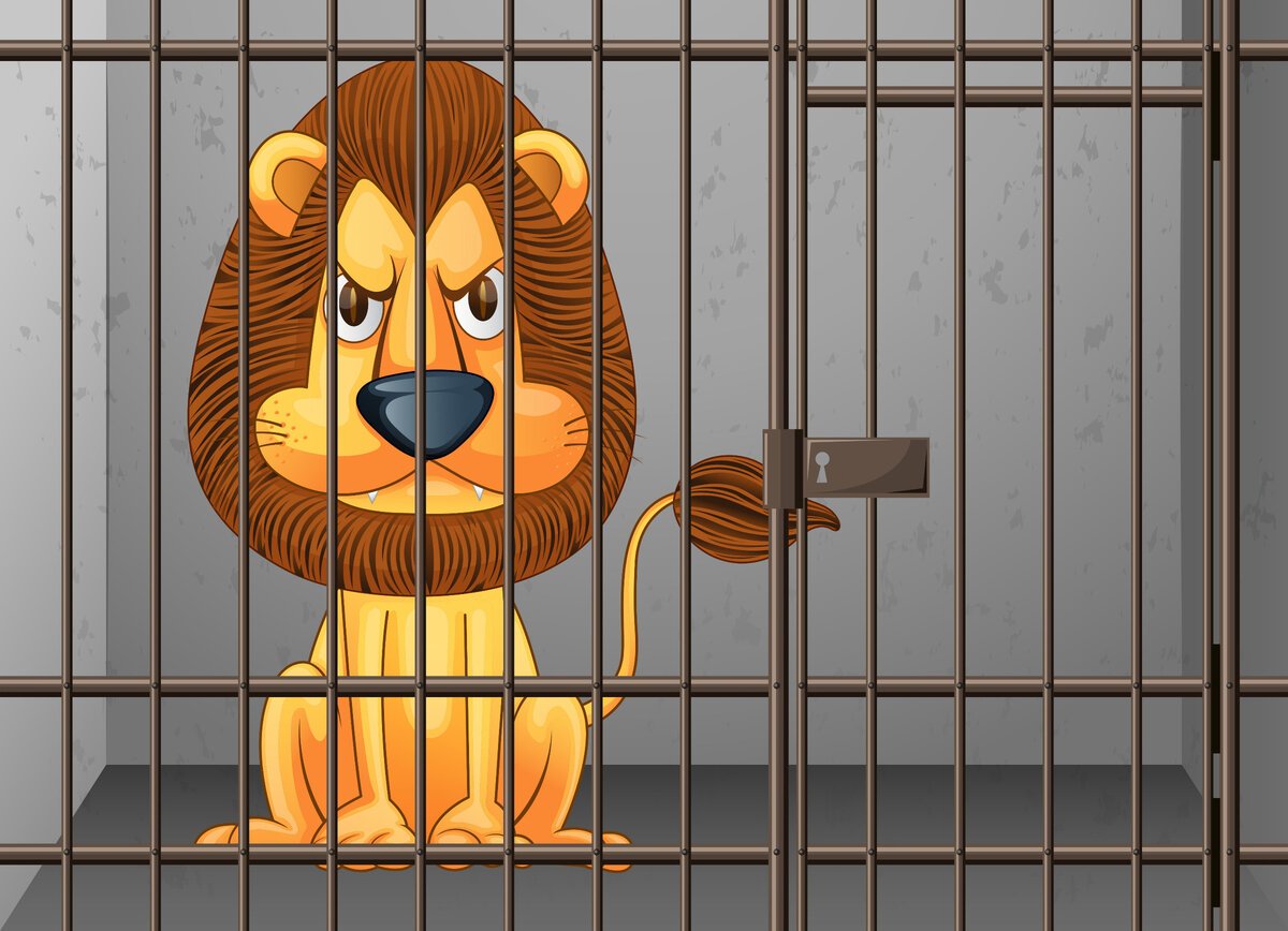 В клетке со зверем