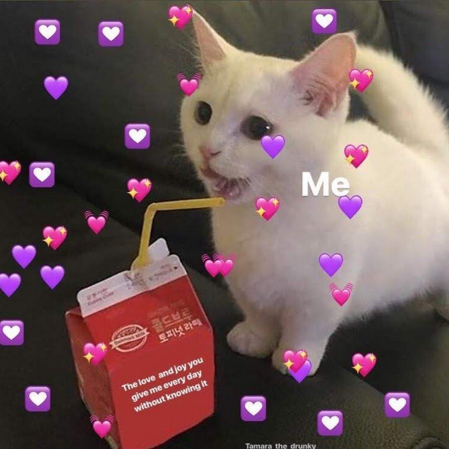 Котики с сердечками