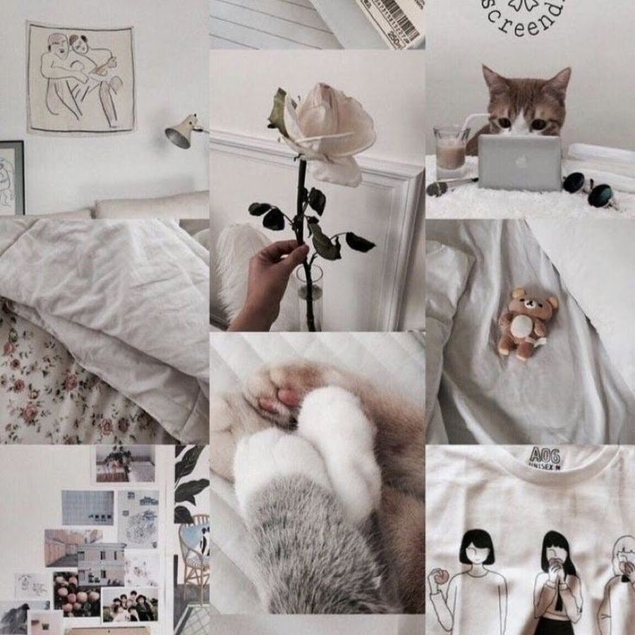 Котики коллаж Эстетика