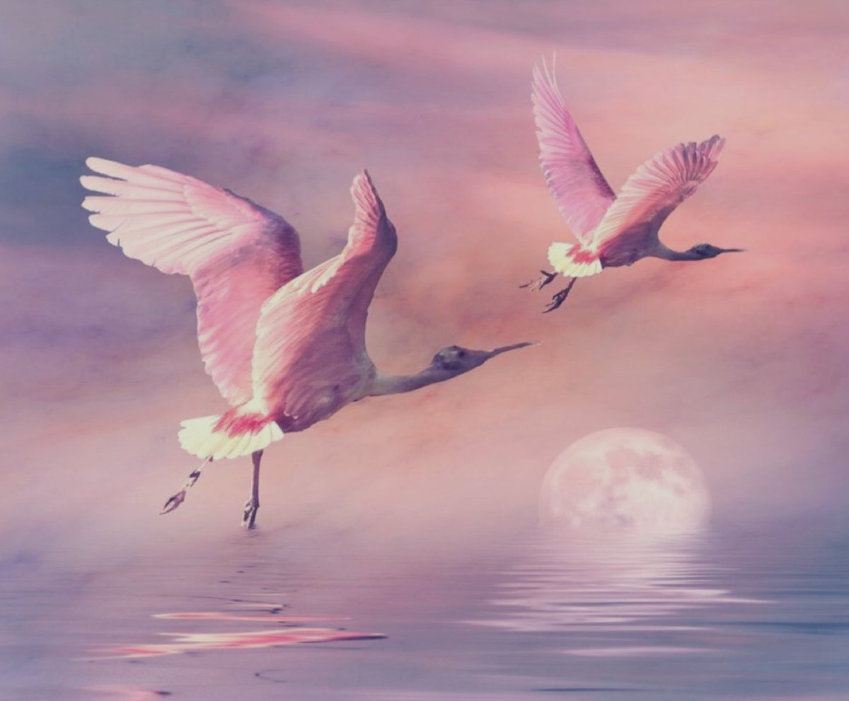 Розовая птица в полете