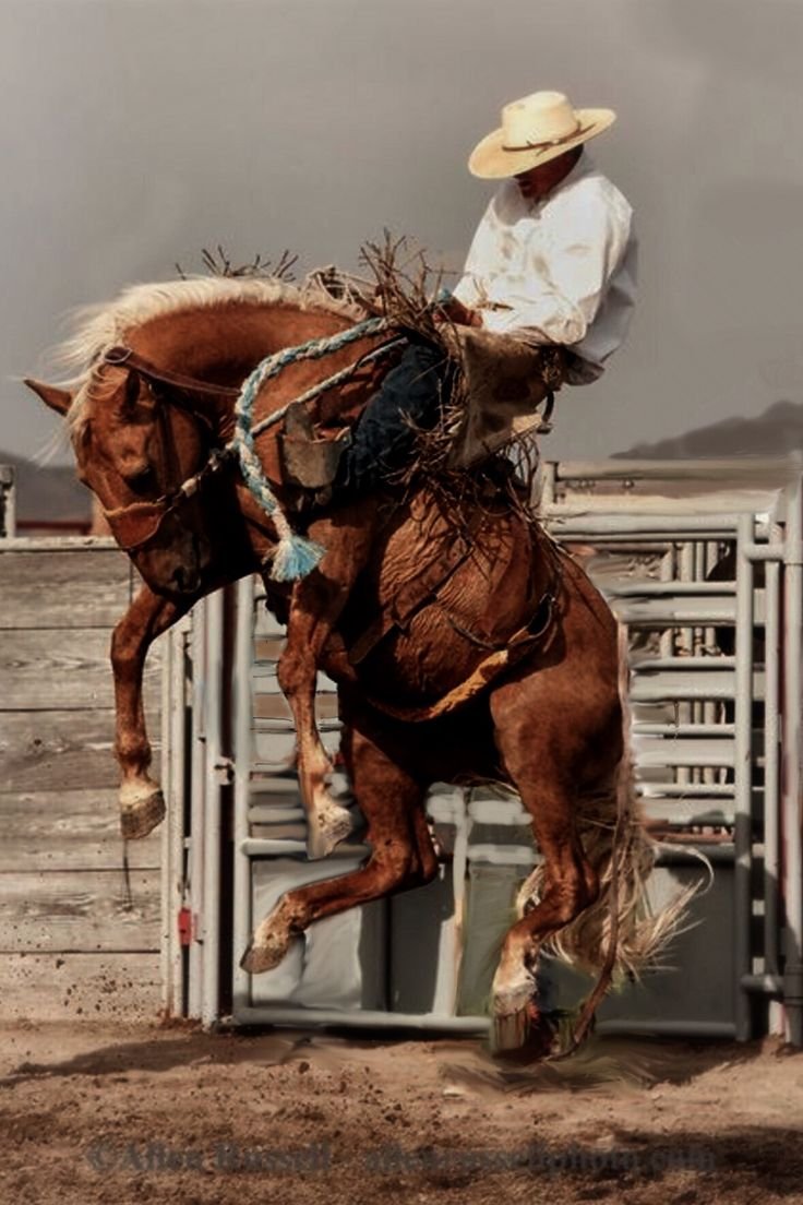 Ковбои родео дикий Запад