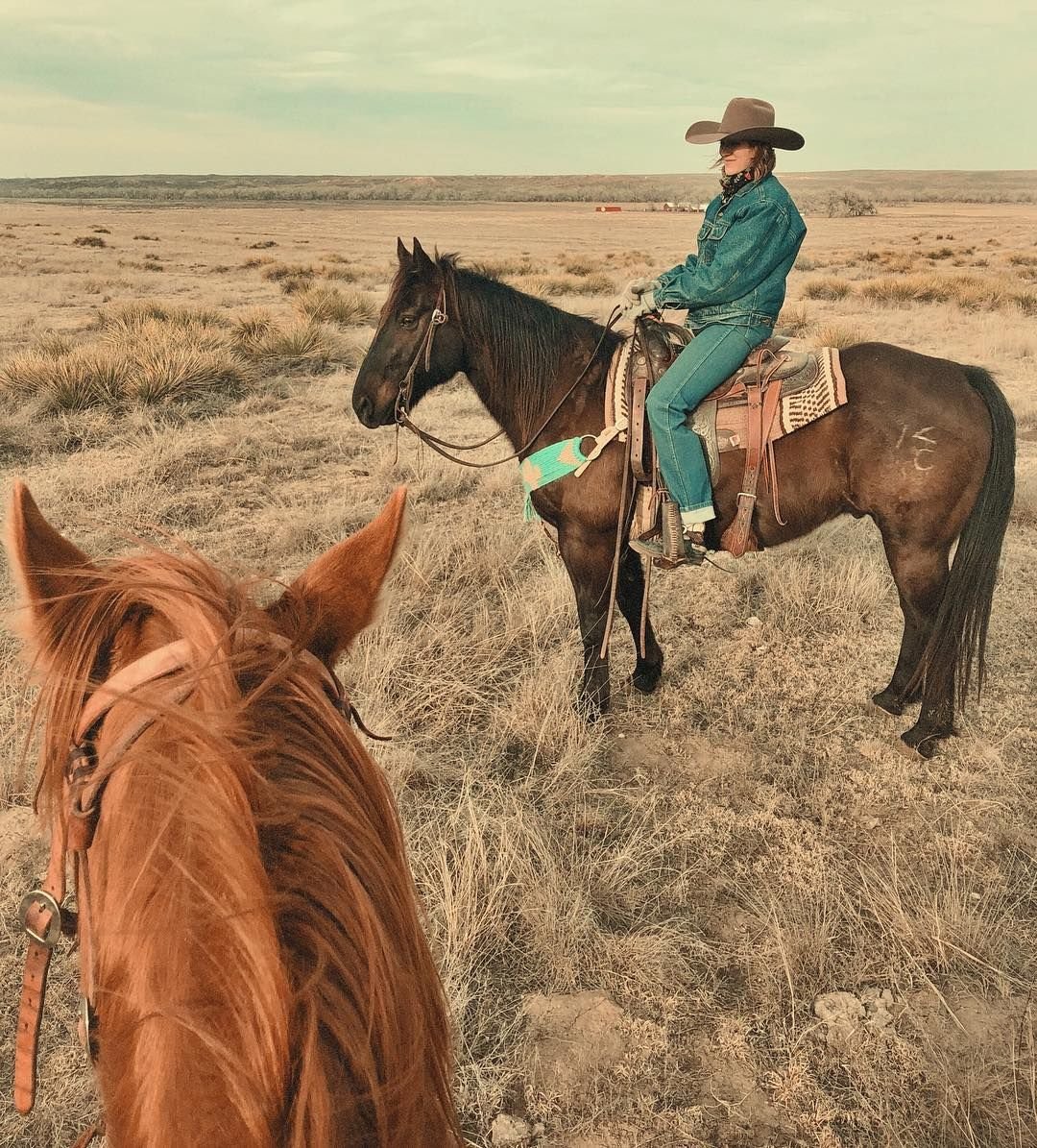 Ковбой на ранчо