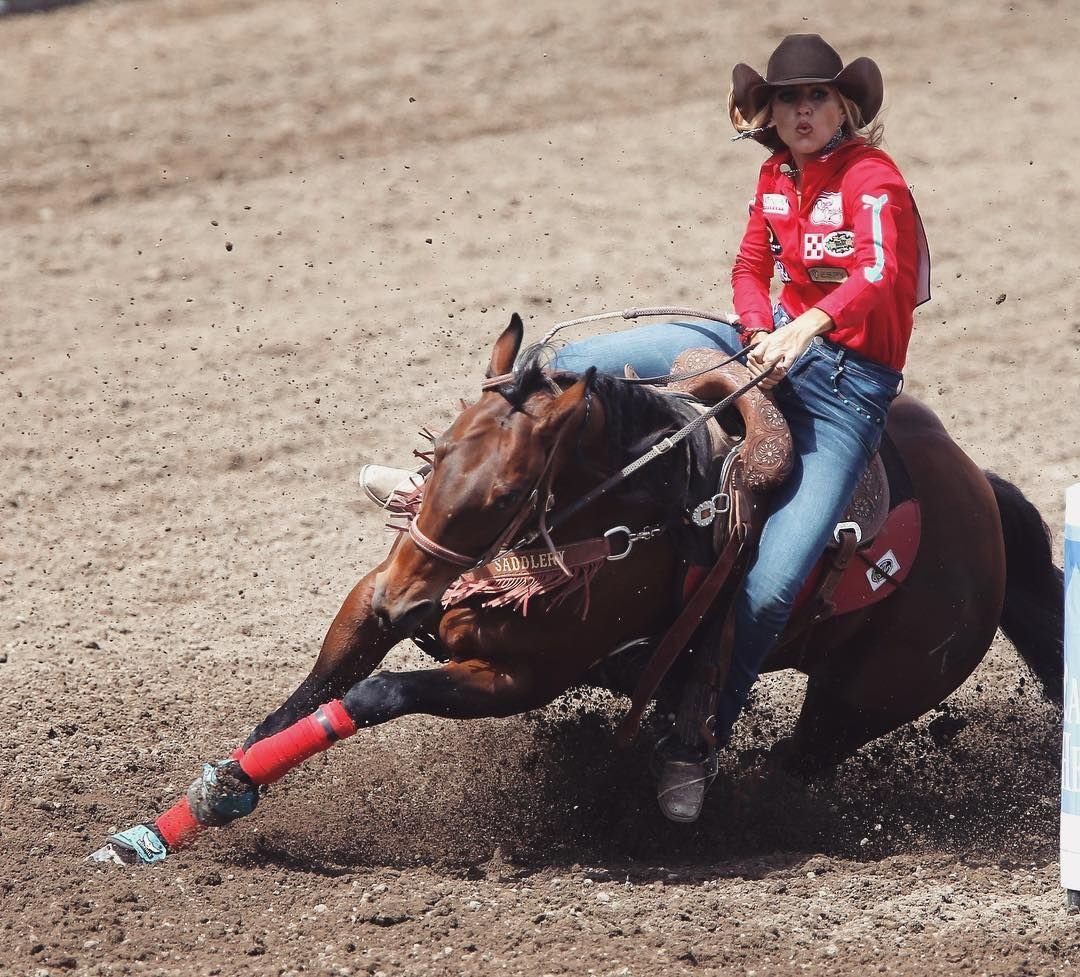 Ковбой на лошади родео