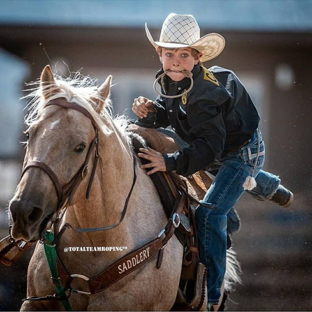 Ковбой на лошади