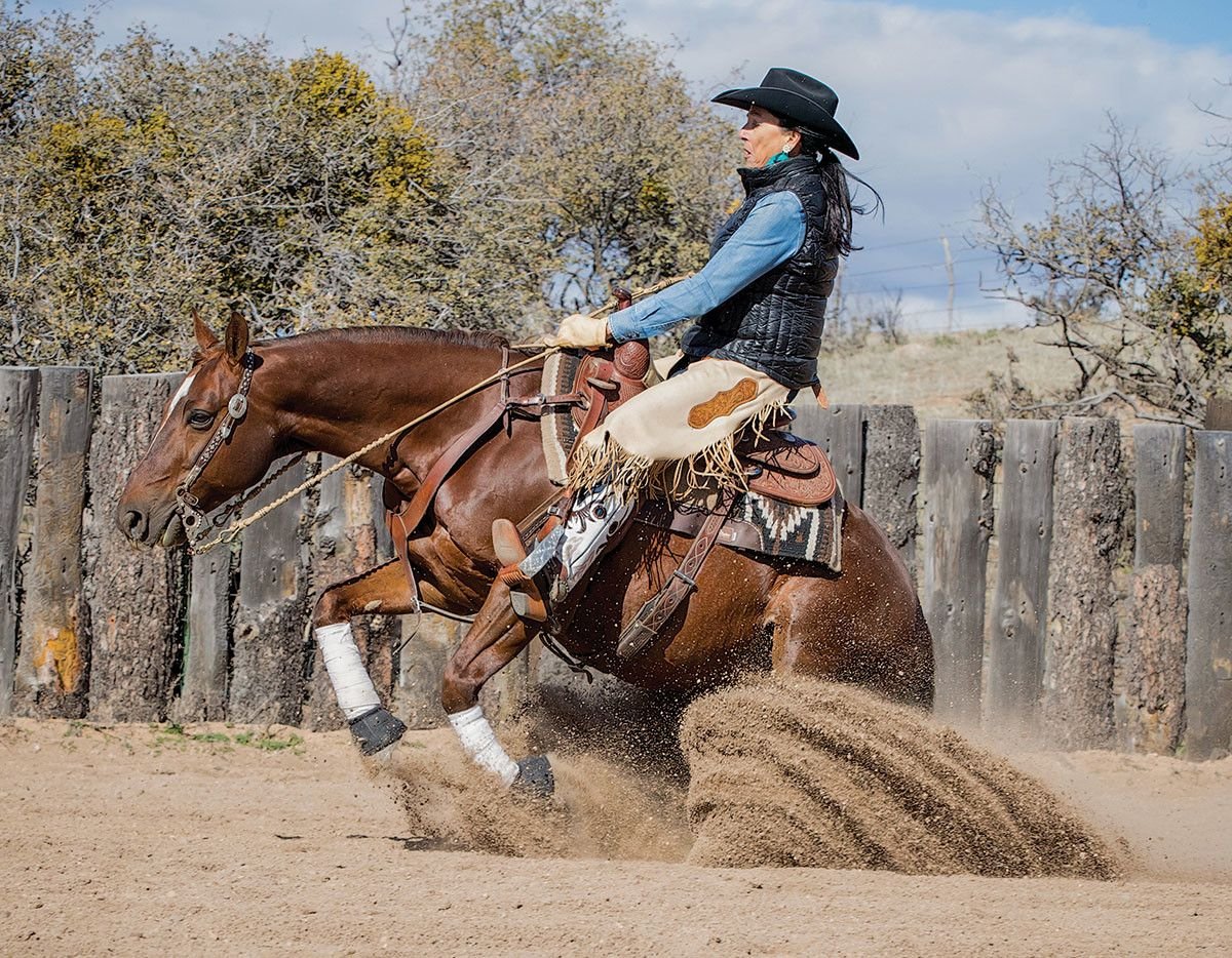 Вестерн лошади
