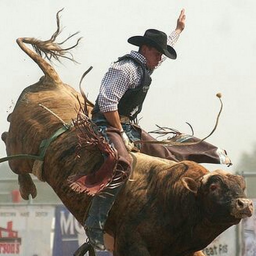 Ковбой со спины