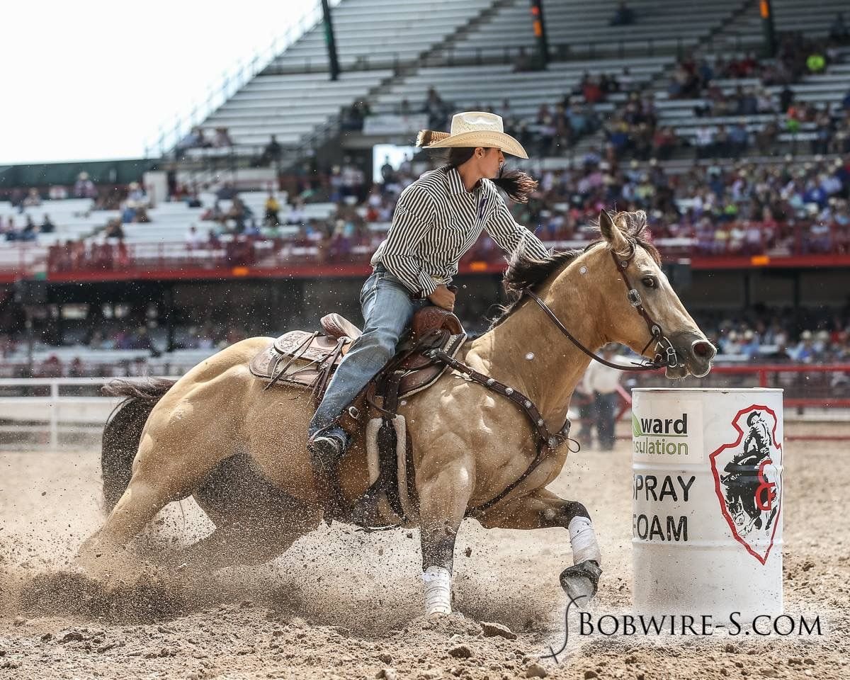 Вестерн лошади