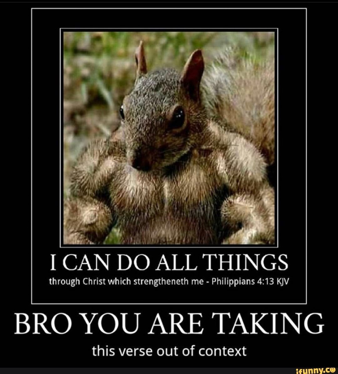 Белочка демотиватор