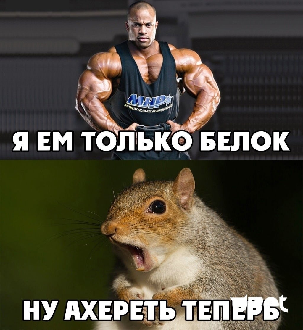 Я ем только белок